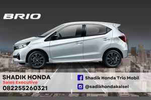 All New Brio
